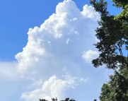 佛山天气预报,佛山7天天气预报,佛山15天天气预报,佛山天气查询